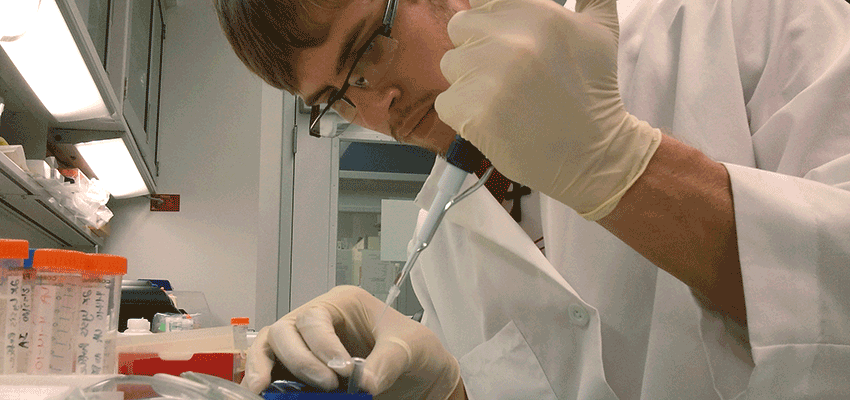 Image of a biomedical student working in a lab.