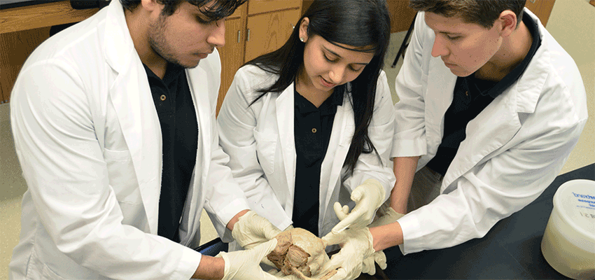 Image of biomedical students working in a lab.